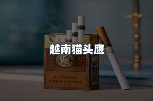 越南猫头鹰
